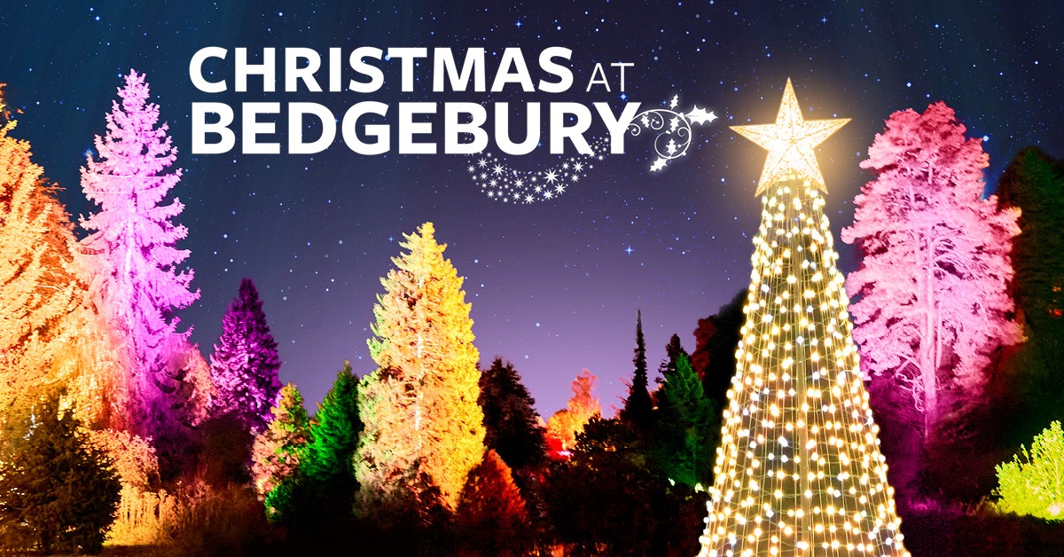 Christmas at Bedgebury