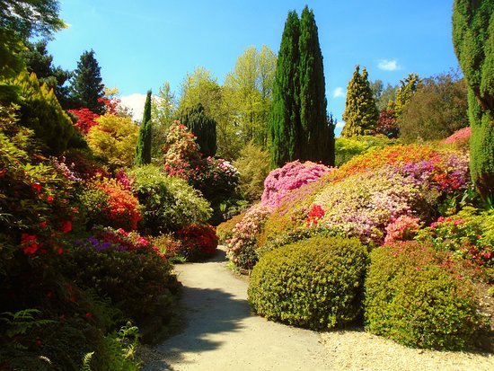 Leonardslee Lakes & Gardens 