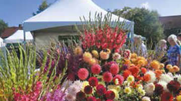 RHS Wisley Summer Flower Show