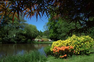 Savill Gardens, Lunch and River Cruise