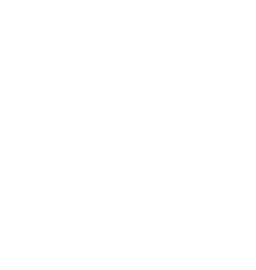 Established in 2004