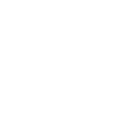 20 years, Established in 2004